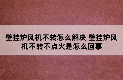 壁挂炉风机不转怎么解决 壁挂炉风机不转不点火是怎么回事